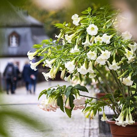 Hideaway Im Odenwald Nahe Heidelberg Leilighet Eberbach  Eksteriør bilde