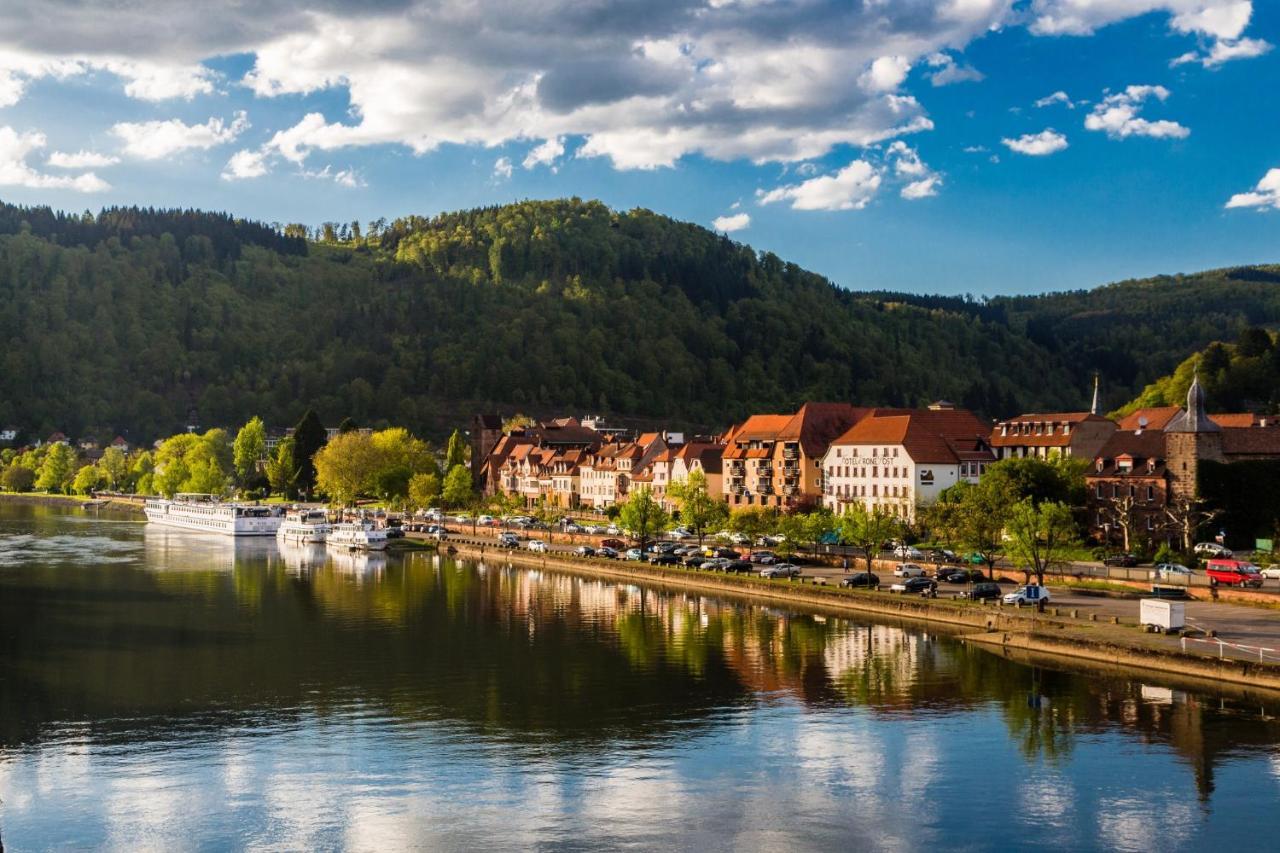 Hideaway Im Odenwald Nahe Heidelberg Leilighet Eberbach  Eksteriør bilde